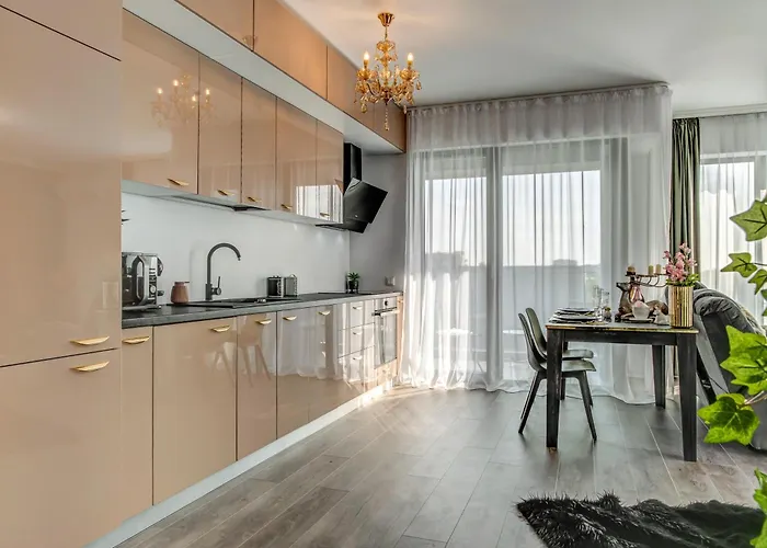 Elysium * 부쿠레슈티